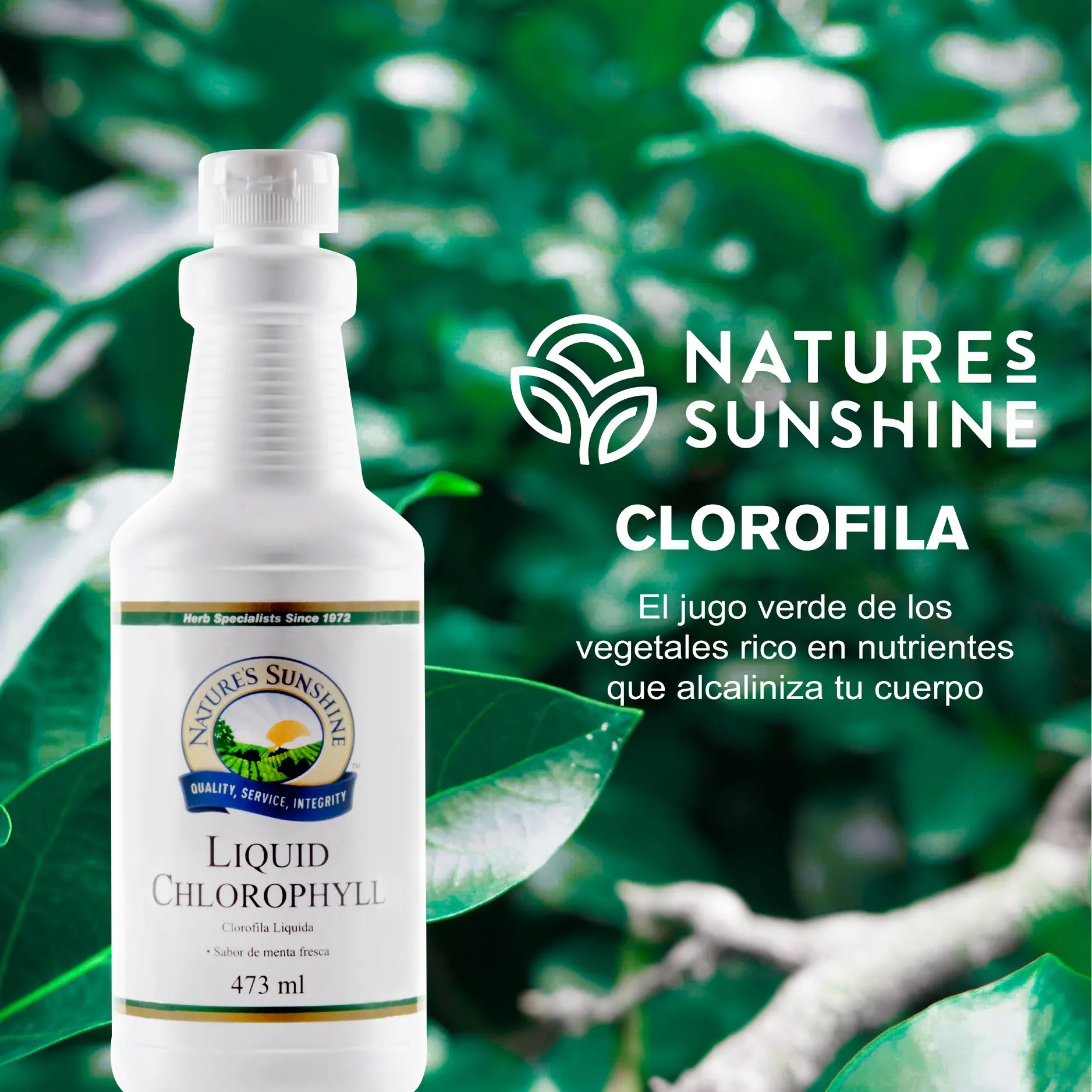 Venta de productos naturales